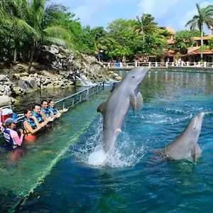  Apartamento Increible Estudio En Puerto Aventuras, Con Alberca # 201